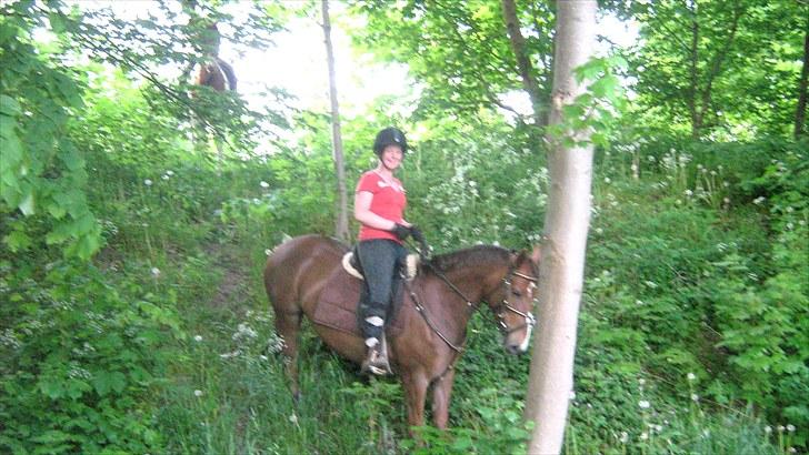 DSP Moon Star M *Savnet* - Vores anden tur i skoven billede 11