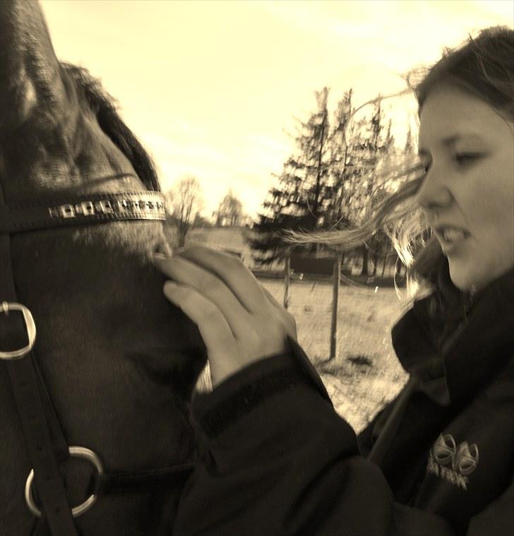 Anden særlig race Nygaards Beebob billede 7