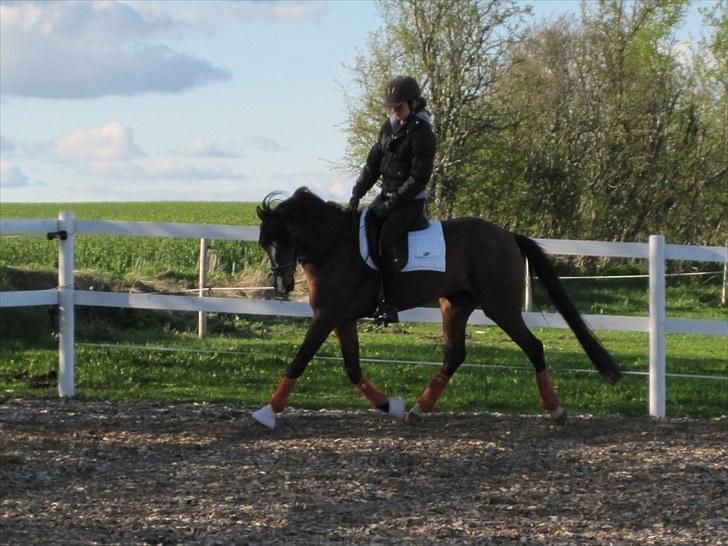 DSP Kentris Athene billede 11