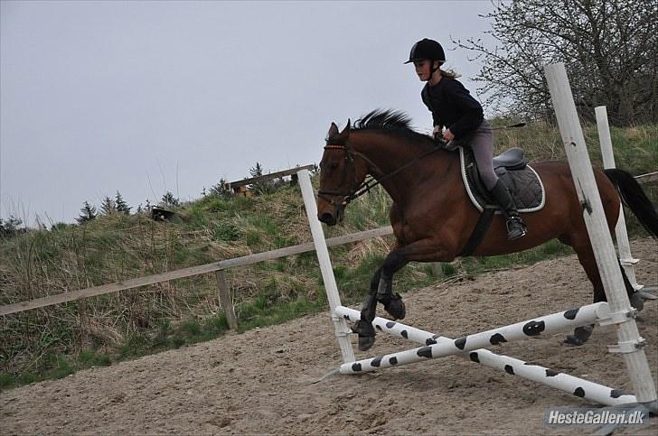 Anden særlig race Fanta - Hop<3 Foto: Nanna billede 16