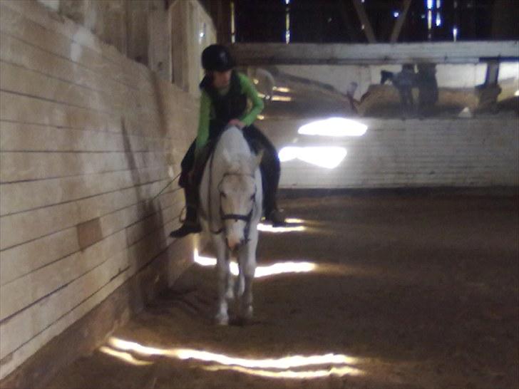 Pinto Charming Lady<3 Solgt :'( - 10,mig der rider lady i skridt billede 10