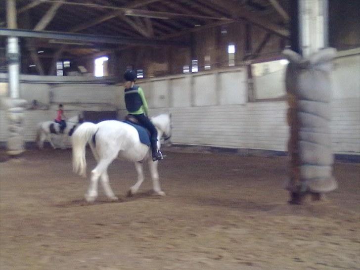 Pinto Charming Lady<3 Solgt :'( - 11, mig der rider lady i trav billede 11