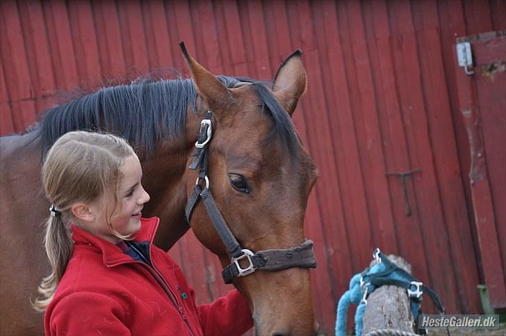 Anden særlig race Fanta - Elsker dig<3 Foto: Nanna billede 17