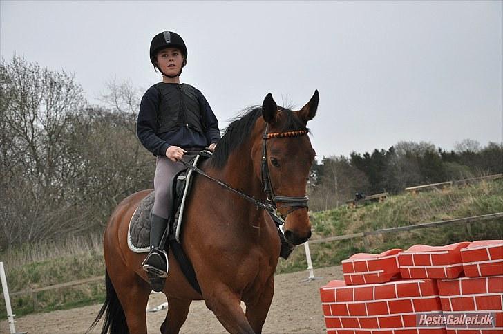 Anden særlig race Fanta - Foto: Nanna billede 18