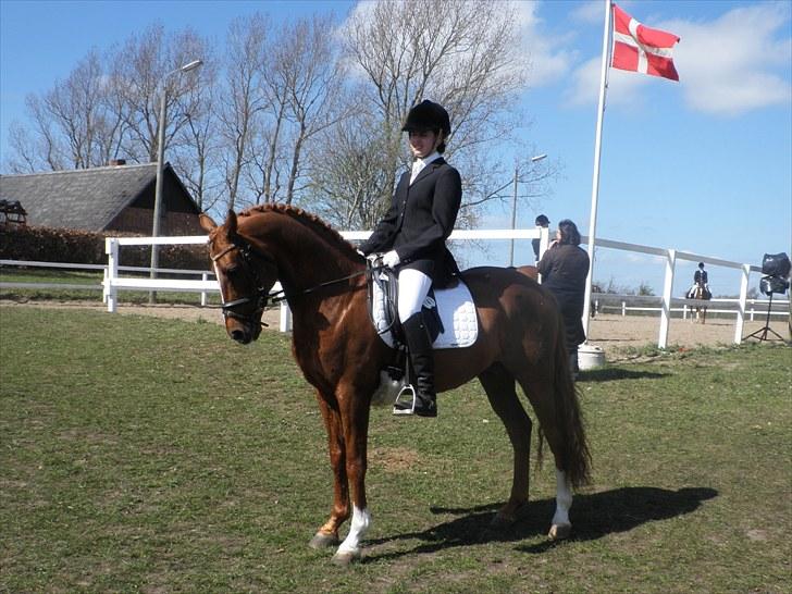 DSP Doran A-pony - C- stævne Løgstrup maj 2010, 66,3% i PRI og 3 plads, 65% i LA5 billede 11