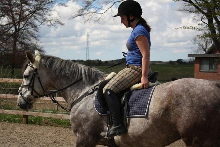 Anden særlig race Ørum´s Ayrton billede 6