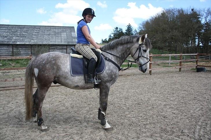 Anden særlig race Ørum´s Ayrton billede 9