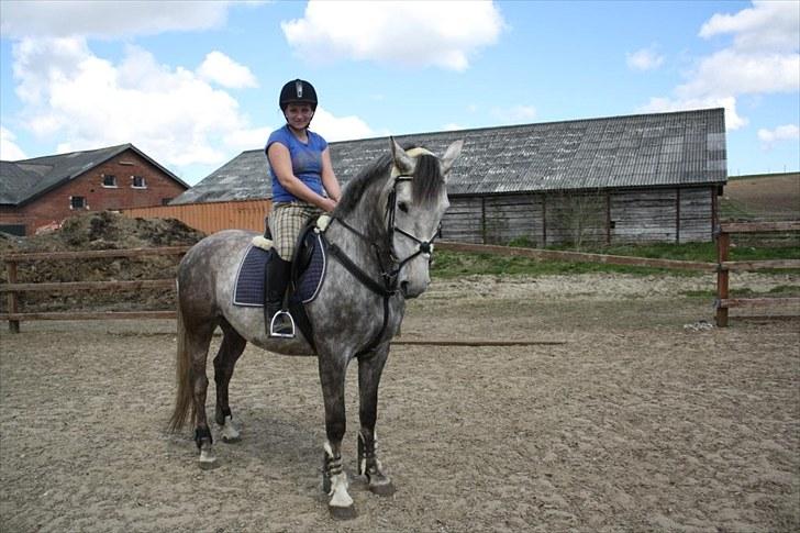 Anden særlig race Ørum´s Ayrton billede 10