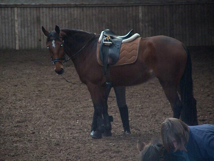 Traver Nesmil - ... billede 12