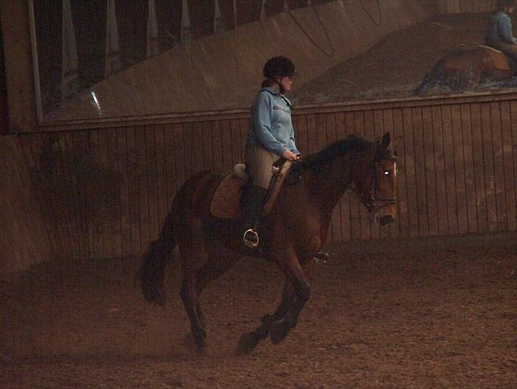 Traver Nesmil - galop billede 14