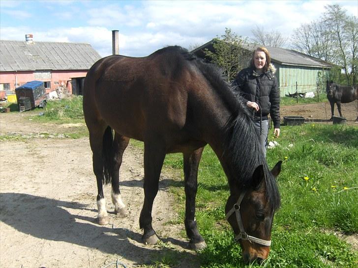 Anden særlig race † Flint R.I.P † - Flint og Joy :) billede 4