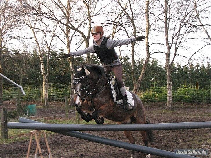 Tysk Sportspony Nelly   - there is not someone I trust more than you, your everything<3 billede 19