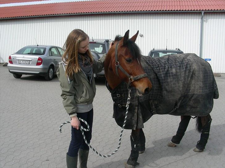 Anden særlig race Indy Boy Lærkebo Wonderboy - sidste dag, inden køre turen. Foto: Mor billede 14