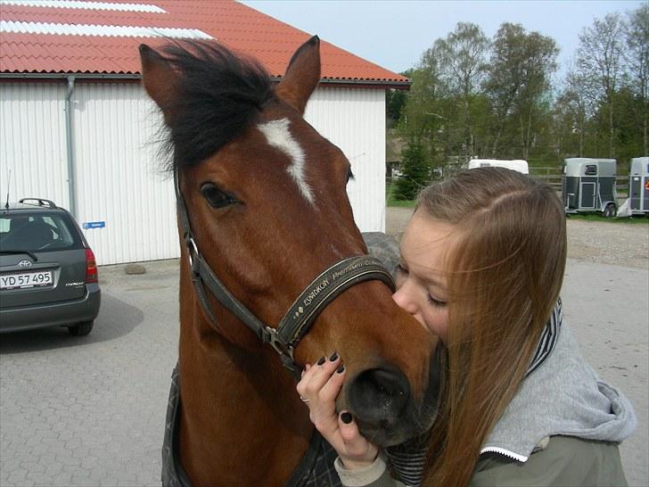 Anden særlig race Indy Boy Lærkebo Wonderboy - sidste dag, inden køre turen. Foto: Mor billede 15
