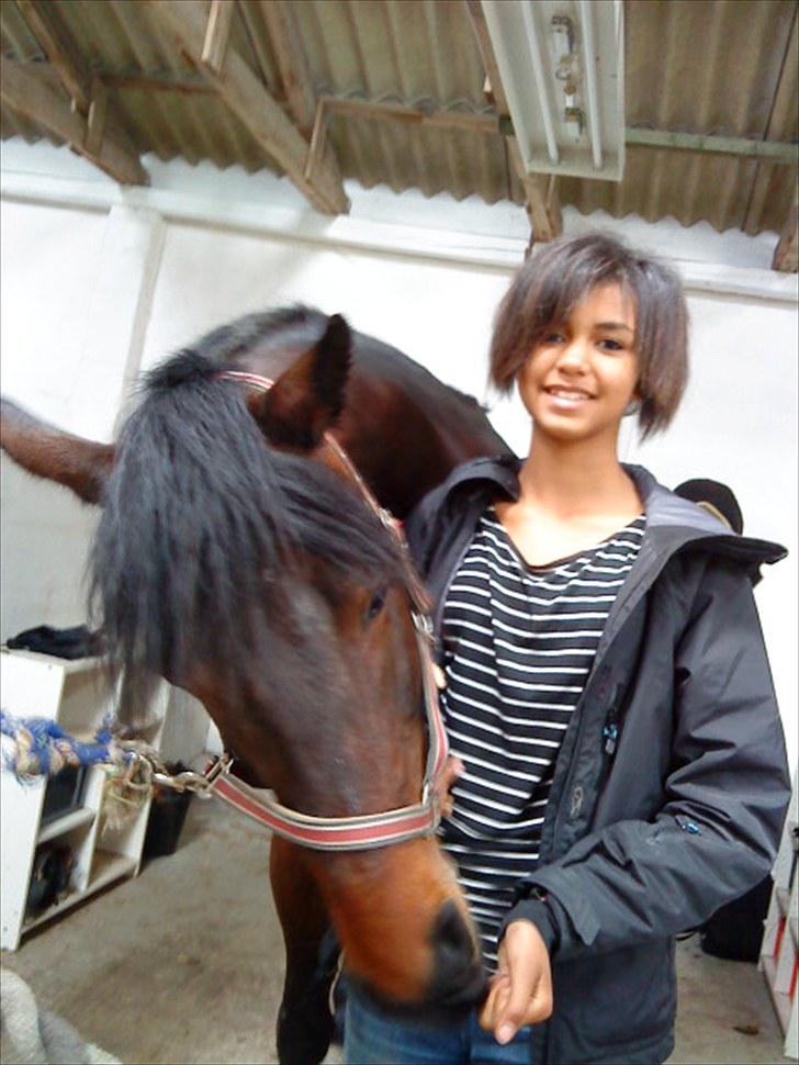 Dansk Varmblod l Sommerlund's Cindi <3 - hehe, hvor er jeg dog grim;b  billede 14