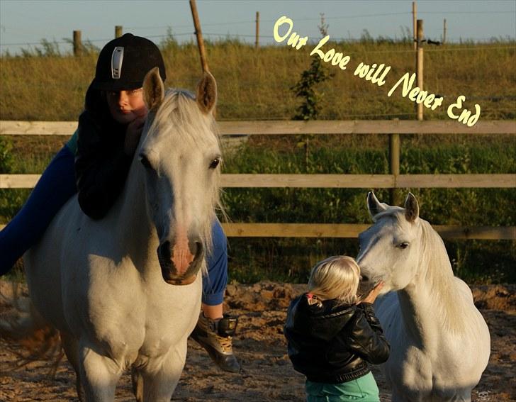 Anden særlig race Gulnare "Gulli" - Foto: Mig og Hr. selvudløser xD billede 3