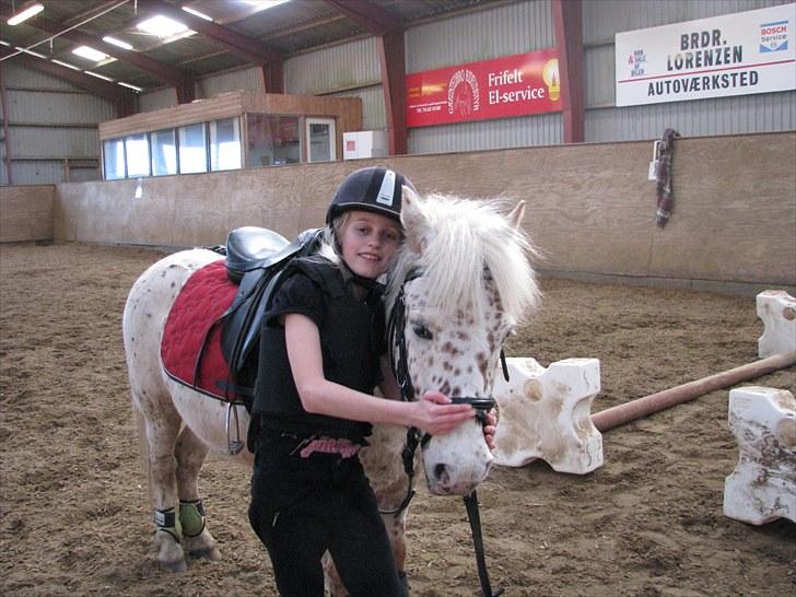 Knabstrupper uffe  - hej hej jeg er mega glad billede 3