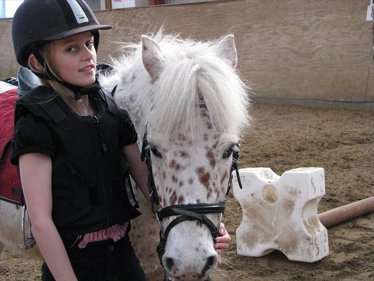 Knabstrupper uffe  - hoj hoj makker billede 4