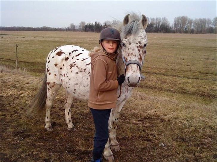 Anden særlig race Jack. - Den sidste dag med ham.  billede 14