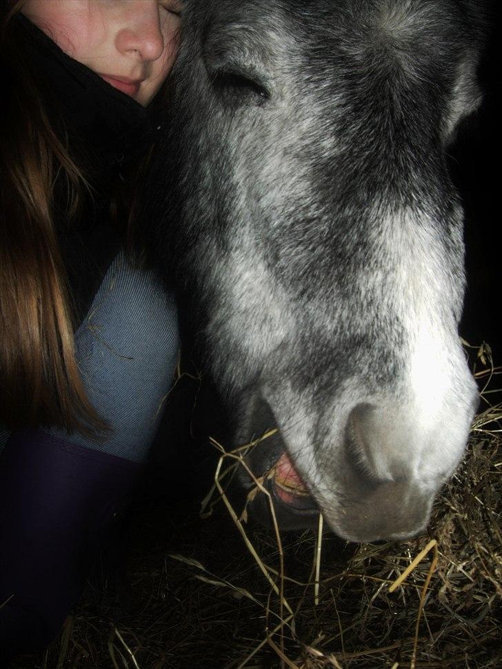 Miniature Unieke Whitey - 18] Sov sødt min skat .. du kan trygt sove .. for jeg føler dig altid ved mig .. jeg er der med det samme hvis der er noget .. <3 billede 18