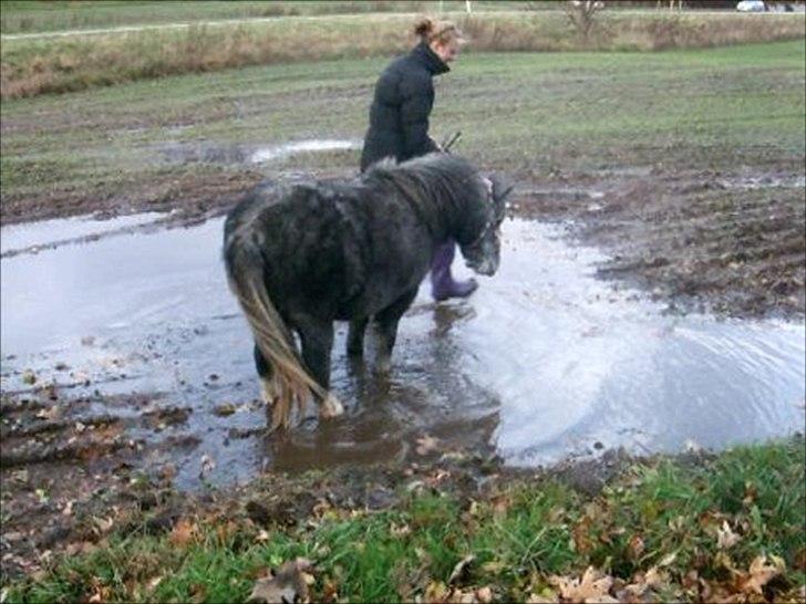 Miniature Unieke Whitey - 19] Dygtige pige.<3 billede 19