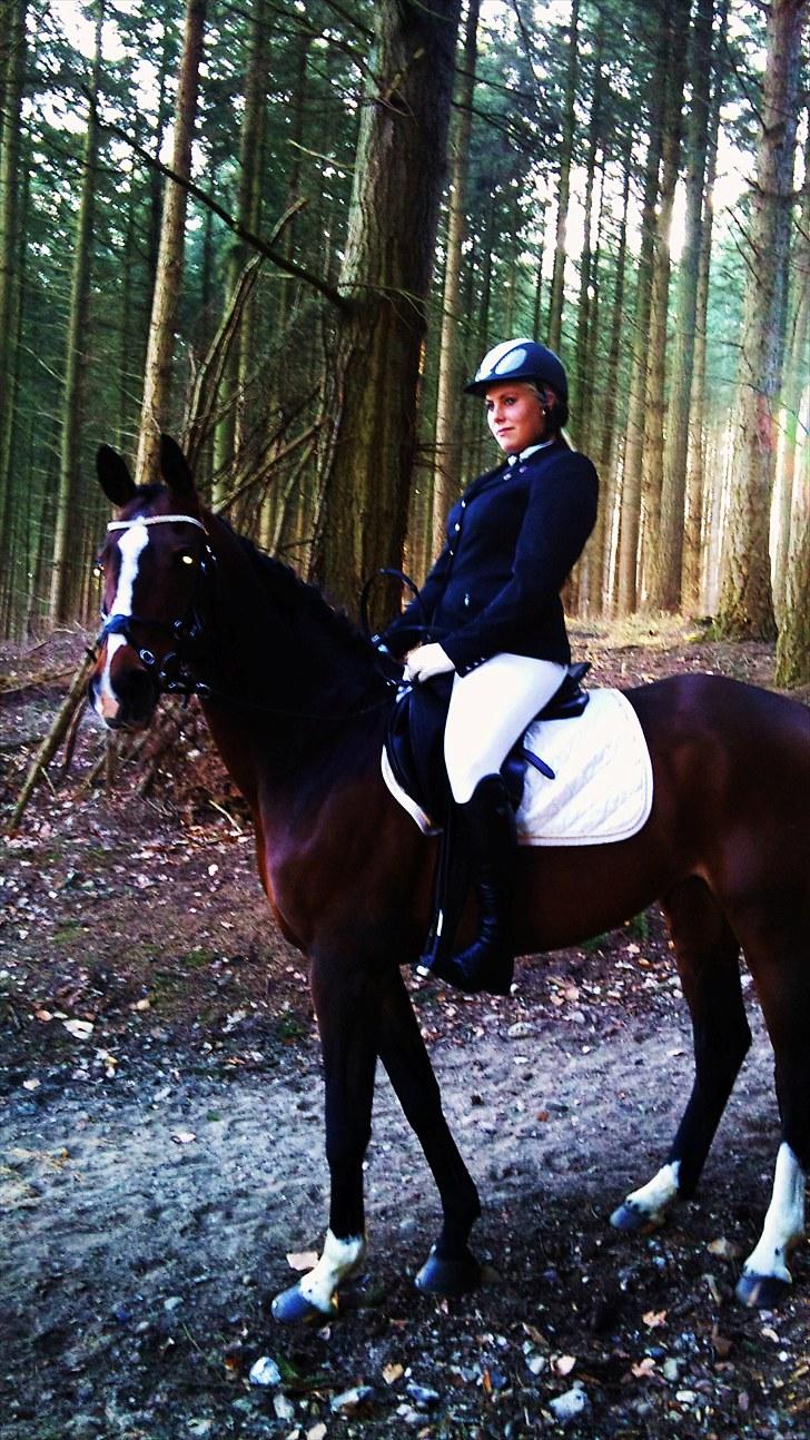 Dansk Varmblod Cavan<3 SOLGT  - Efter et dressur stævne jeg var meget tilfreds med:) billede 17