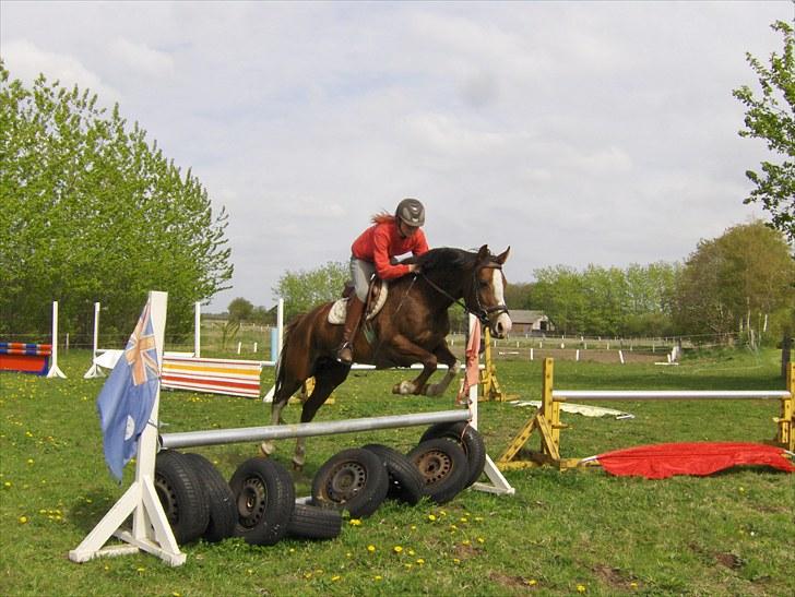 DSP La Rosa billede 14