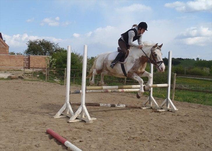 Anden særlig race MR MARTIN - Træning d. 4 maj, 2011. (-;  billede 2