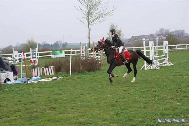 DSP Tai Tanico B-pony - SOLGT :0( billede 11