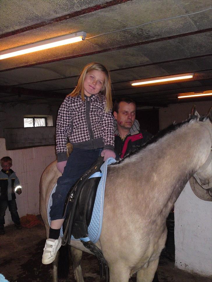 Anden særlig race Mister Surprice ( Solgt) - Emma på Mister for første gang  billede 6