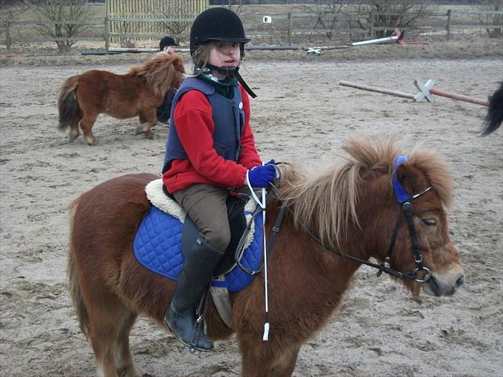 Anden særlig race Bølle Bob  <3 - den smukke bølle bob og mig der rider billede 10