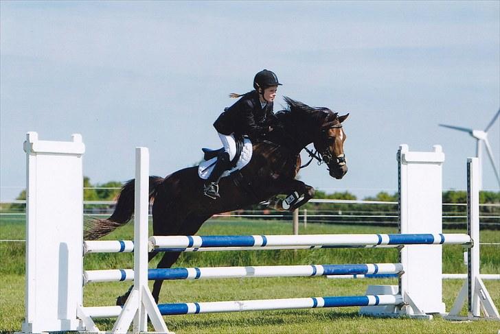 DSP Candy højgård billede 2