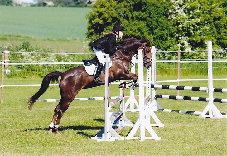 DSP Candy højgård billede 3