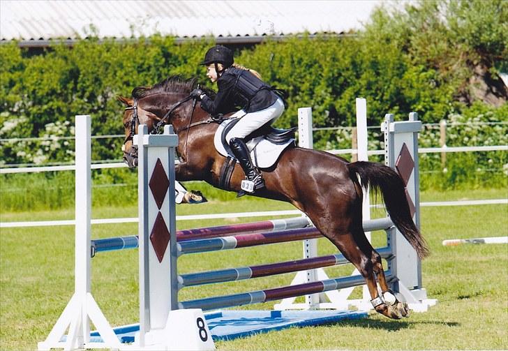 DSP Candy højgård billede 4