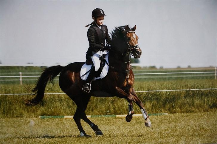 DSP Candy højgård billede 5