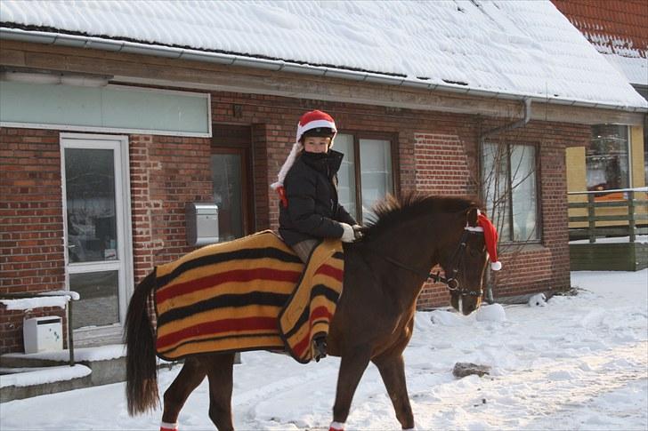 DSP Candy højgård - Juleoptog sammen med Stutteri Romeo. :) billede 6