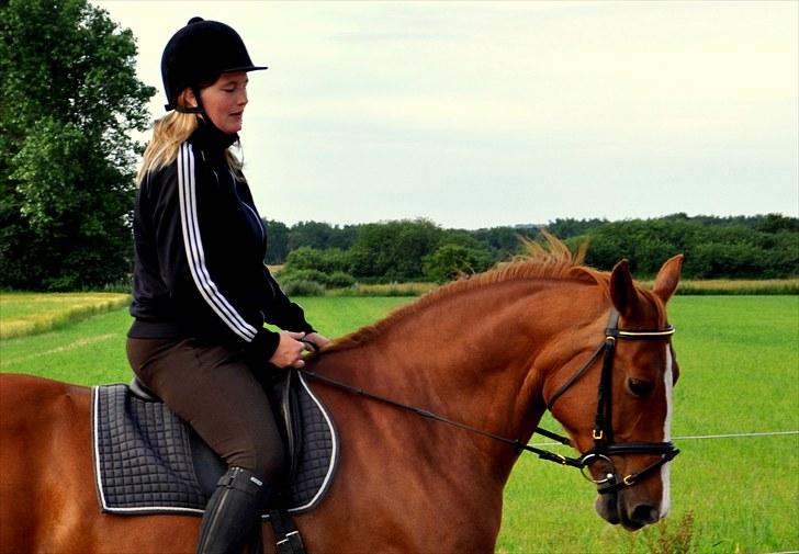 Frederiksborg Lykkeborgs Calista  billede 10