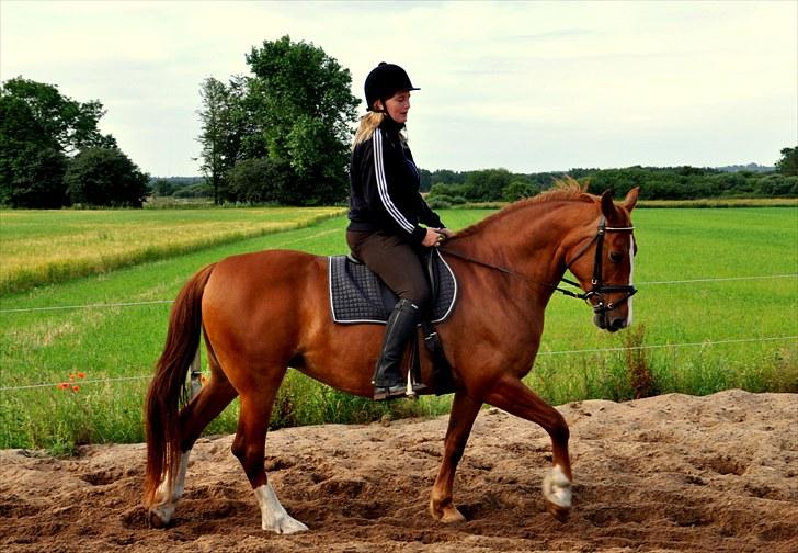 Frederiksborg Lykkeborgs Calista  billede 11