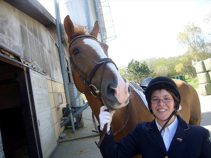 Dansk Varmblod Jack - mig og jack efter vores ridt til handicap stævnet på vek billede 10