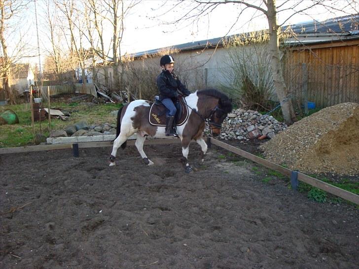 Anden særlig race Nicklas (Solgt) - <3 <3 billede 19