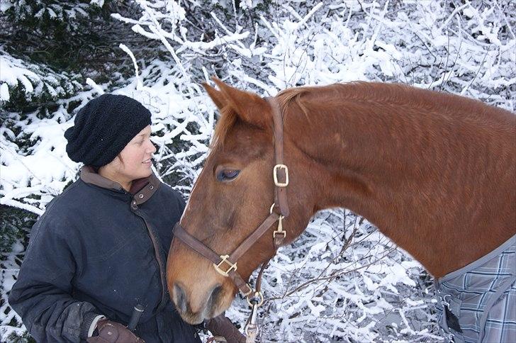 Anden særlig race Sir Duke ¤Mit et & alt¤ - Duke i snevejret, Ihhhh min lille sne hest... Tak for billedere Julie billede 7
