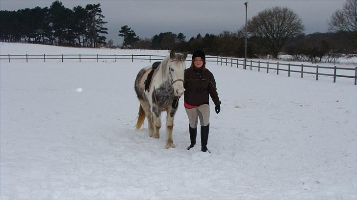 Anden særlig race Kousgaarden's Kimmi SOLGT billede 15
