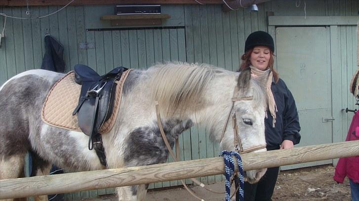 Anden særlig race Kousgaarden's Kimmi SOLGT billede 16