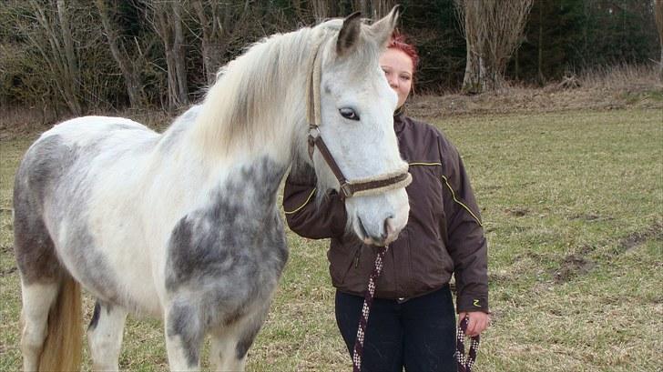 Anden særlig race Kousgaarden's Kimmi SOLGT billede 17