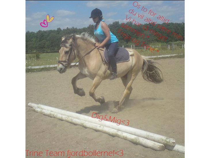 {{currentPhoto.altText}} billede {{currentPhoto.number}}