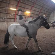 Anden særlig race Amigo+Clara<3DrØmMePaRt B