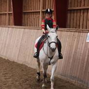 Hannoveraner Espriana<3 (den bedste)