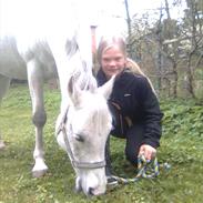 Anden særlig race Cirkeline 