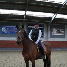 Dansk Varmblod Sønnikgårds Luna RDH