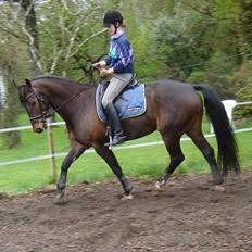 Anden særlig race Rolex